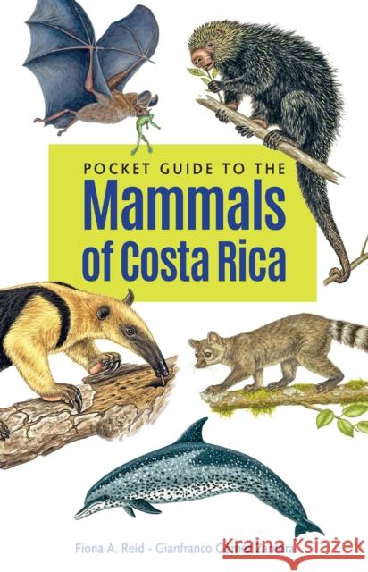 Pocket Guide to the Mammals of Costa Rica Fiona A. Reid Gianfranco G 9781501766961 Comstock Publishing