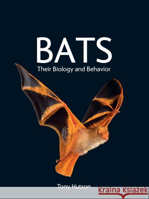 Bats: Their Biology and Behavior Hutson, Tony 9781501767777