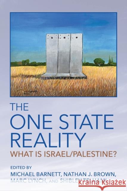 The One State Reality: What Is Israel/Palestine? Barnett, Michael 9781501768408