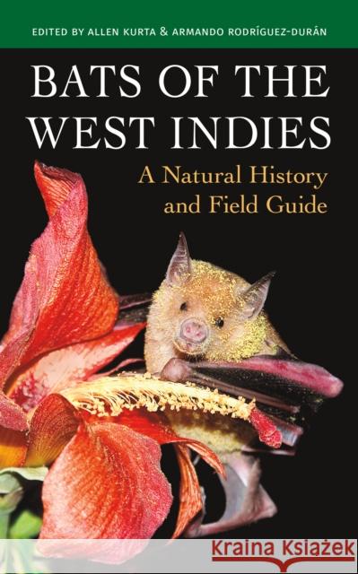 Bats of the West Indies: A Natural History and Field Guide Allen Kurta Armando Rodr?guez-Dur?n 9781501768934 Cornell University Press