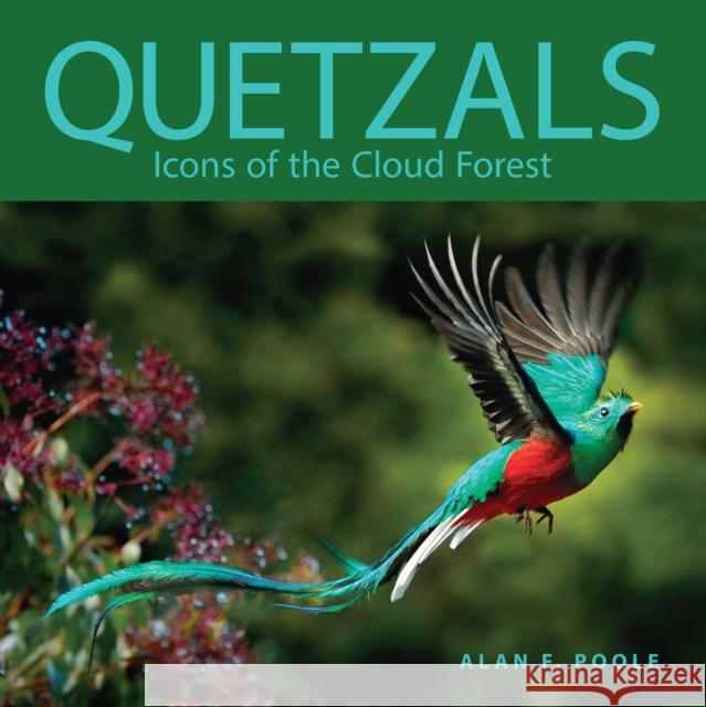 Quetzals: Icons of the Cloud Forest Alan Poole 9781501772214 Cornell University Press