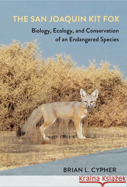 The San Joaquin Kit Fox: Biology, Ecology, and Conservation of an Endangered Species Brian L. Cypher Claudio Sillero-Zubiri 9781501775055 Cornell University Press