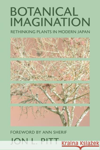 Botanical Imagination: Rethinking Plants in Modern Japan Jon L. Pitt Ann Sherif 9781501780950 Cornell University Press