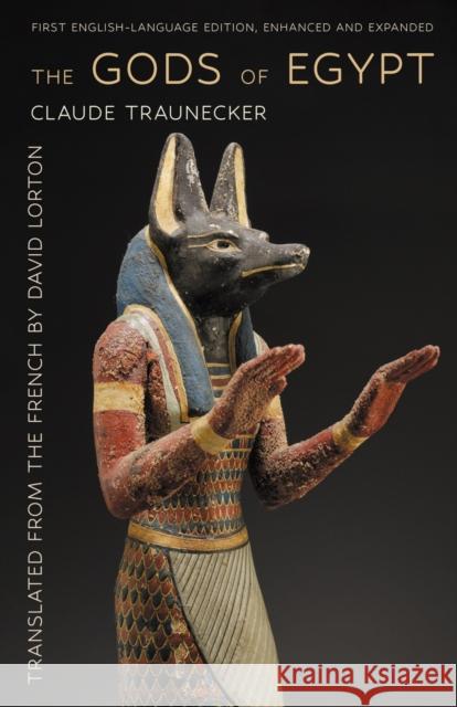 The Gods of Egypt Claude Traunecker 9781501784385 Cornell University Press