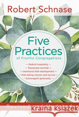 Five Practices of Fruitful Congregations: Revised and Updated Robert Schnase 9781501858871 Abingdon Press
