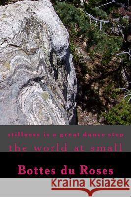 stillness is a great dance step: The world at Small Bottes Du Roses 9781502314703 Createspace Independent Publishing Platform