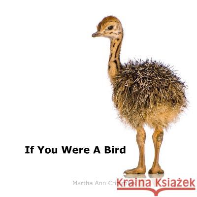 If You Were A Bird Crimmins, Martha Ann 9781502378750