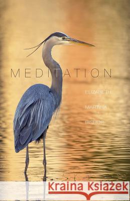 Meditation Elizabeth Martina Bishop 9781502387547