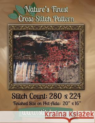 Nature's Finest Cross Stitch Pattern: Pattern Number 006 Nature Cros Stitchx 9781502539380 Createspace