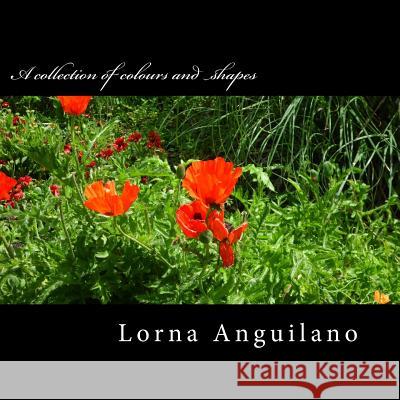 A collection of colours and shapes: Flowers from around the world Anguilano, Lorna 9781502545312 Createspace