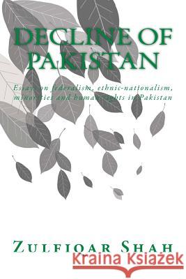 Decline of Pakistan: Essays on federalism, ethnic-nationalism, minorities and human rights in Pakistan Shah, Zulfiqar 9781502565907
