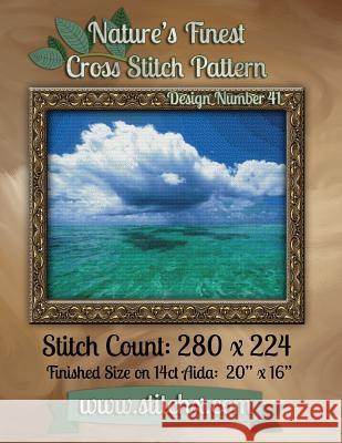 Nature's Finest Cross Stitch Pattern: Design Number 41 Nature Cros Stitchx 9781502575081 Createspace