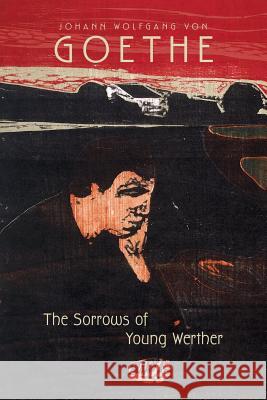 The Sorrows of Young Werther Johann Wolfgang Von Goethe Nathen Haskell Dole R. D. Boylan 9781502575579 Createspace