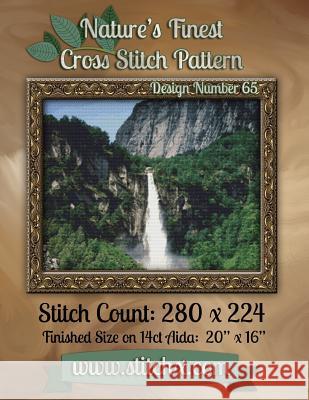 Nature's Finest Cross Stitch Pattern: Design Number 65 Nature Cros Stitchx 9781502576064 Createspace