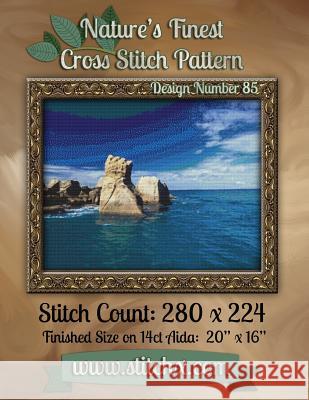 Nature's Finest Cross Stitch Pattern: Design Number 85 Nature Cros Stitchx 9781502588302 Createspace