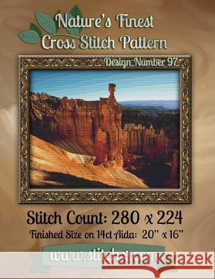 Nature's Finest Cross Stitch Pattern: Design Number 97 Nature Cros Stitchx 9781502588920 Createspace