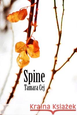 Spine Tamara Cej 9781502591067 Createspace