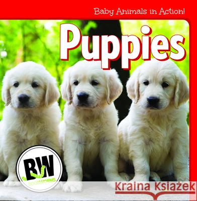 Puppies Nicole Horning 9781502656193 Cavendish Square Publishing