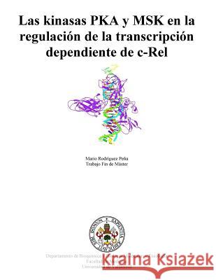 Las Kinasas Pka y Msk En La Regulacion de La Transcripcion Dependiente de C-Rel Mario Rodrigue 9781502715227 Createspace