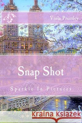 Snap Shot: Sparkle in Pictures Viola Pressley 9781502720139 Createspace