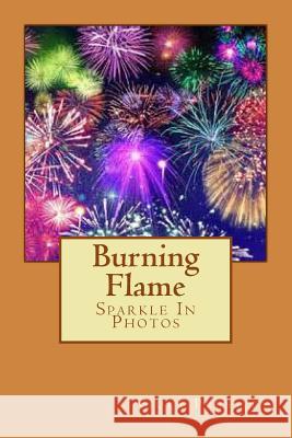 Burning Flame Viola Pressley 9781502721297 Createspace