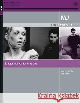 June 2003: Batterer Intervention Programs: Where Do We Go From Here? Hart, Sarah V. 9781502794642