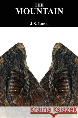 The Mountain: A meditation on the consequences of an obsession J. S. Lane 9781502853868 Createspace Independent Publishing Platform