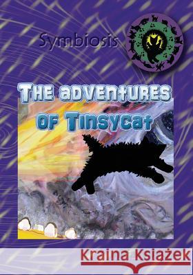 The adventures of Tinsycat No, Initially 9781502861399