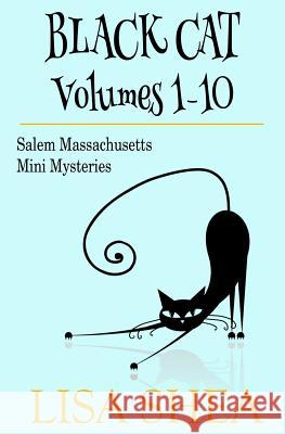 Black Cat Vols. 1-10 - The Salem Massachusetts Mini Mysteries Lisa Shea 9781502862600 Createspace