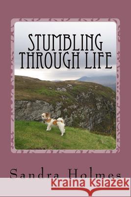 Stumbling Through Life: A personal account of life in one of the harsh boarding schools in the UK Holmes, Sandra 9781502877192 Createspace