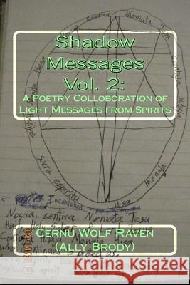 Shadow Messages Vol. 2: : A Poetry Colloboration of Light Messages from Spirits Brody, Allison E. 9781502882103 Createspace