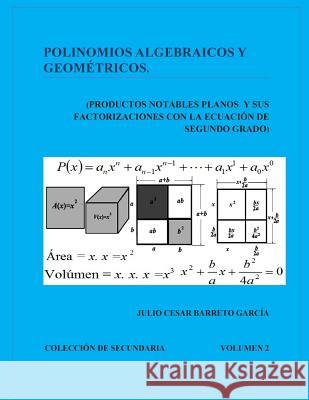 Polinomios Algebraicos y Geometricos (Productos Notables Planos y Factorizacion): Productos Notables en el Plano y sus factorizaciones con la Ecuacion Barreto Garcia, Julio Cesar 9781502888969