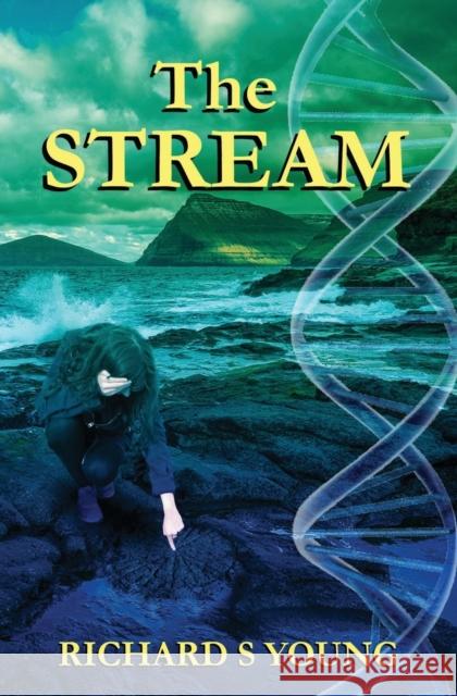The Stream Richard S. Young 9781502994974