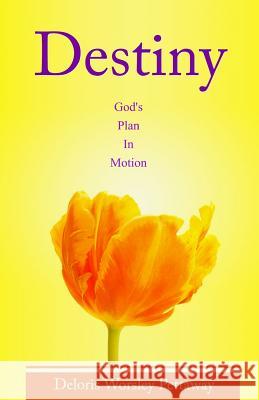 Destiny: God's Plan in Motion Deloris W. Pettaway 9781503011007 Createspace