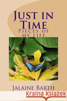 Just in Time: Pieces of my life Jalaine Barth 9781503028463 Createspace Independent Publishing Platform