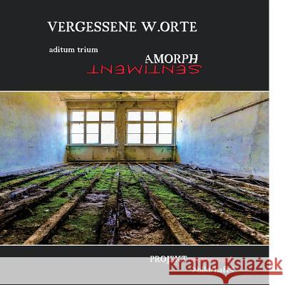 Vergessene W.Orte: aditum trium Amorph / Sentiment Projekt Wort Rausch 9781503073678