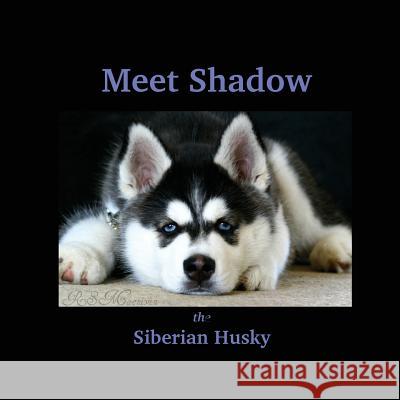 Meet Shadow the Siberian Husky: Meet Shadow Miss Rebecca MacNiven 9781503097537 Createspace