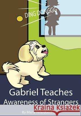 Gabriel Teaches Awareness of Strangers Maria Velardocchia 9781503143623 Createspace