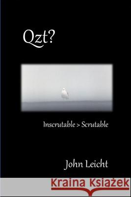 Qzt?: Inscrutable > Scrutable John Leicht 9781503230521