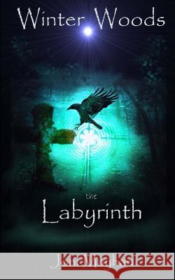The Labyrinth Joni Mayhan 9781503247062