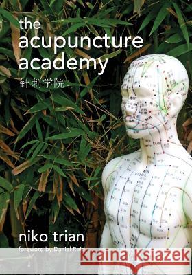 Acupuncture Academy Niko Trian 9781503332430