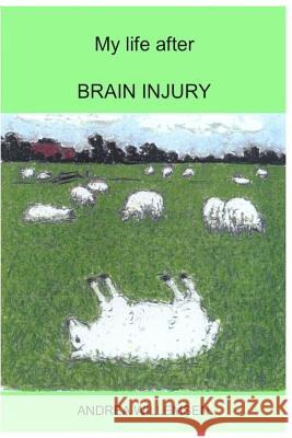 My life after BRAIN INJURY Willemsen, Andrea 9781503334885
