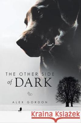 The Other Side of Dark Alex Gordon 9781503500815 Xlibris Corporation