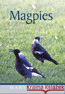 Magpies Mary Brooks 9781503504899