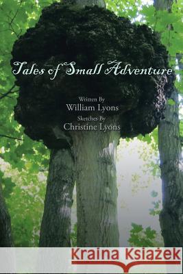 Tales of Small Adventure William Lyons 9781503549135 Xlibris Corporation