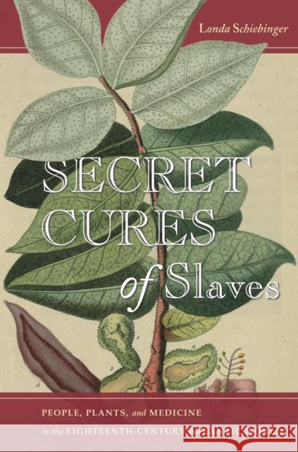 Secret Cures of Slaves: People, Plants, and Medicine in the Eighteenth-Century Atlantic World Londa L. Schiebinger 9781503600171