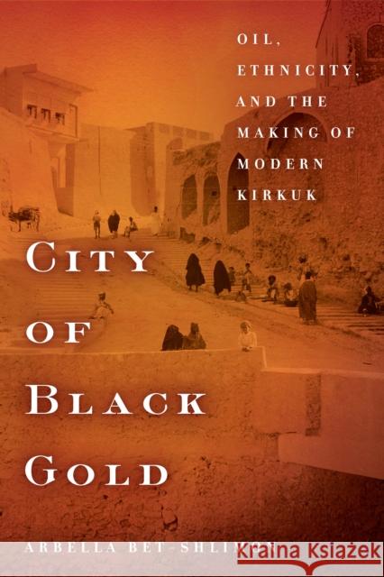 City of Black Gold: Oil, Ethnicity, and the Making of Modern Kirkuk  9781503608122 Stanford University Press