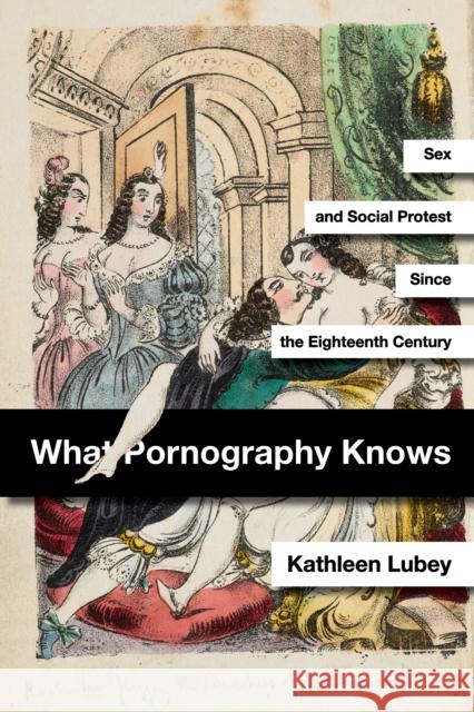 What Pornography Knows: Sex and Social Protest Since the Eighteenth Century Lubey, Kathleen 9781503611665 Stanford University Press