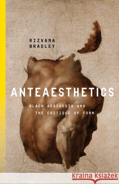 Anteaesthetics: Black Aesthesis and the Critique of Form Rizvana Bradley 9781503633025 Stanford University Press