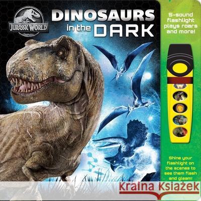 Jurassic World Dinosaurs In The Dark Glow Flashlight P I Kids 9781503758520 Phoenix International Publications, Incorpora